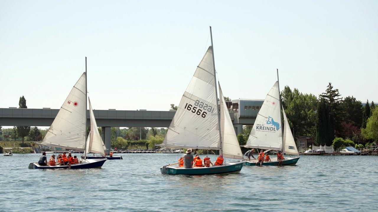Auf der Alten Donau segeln mehrere Boote mit Personen in Rettungswesten. Die Landschaft umfasst Bäume und Bewuchs, im Hintergrund ist eine Brücke zu sehen. Der Himmel ist klar und sonnig.