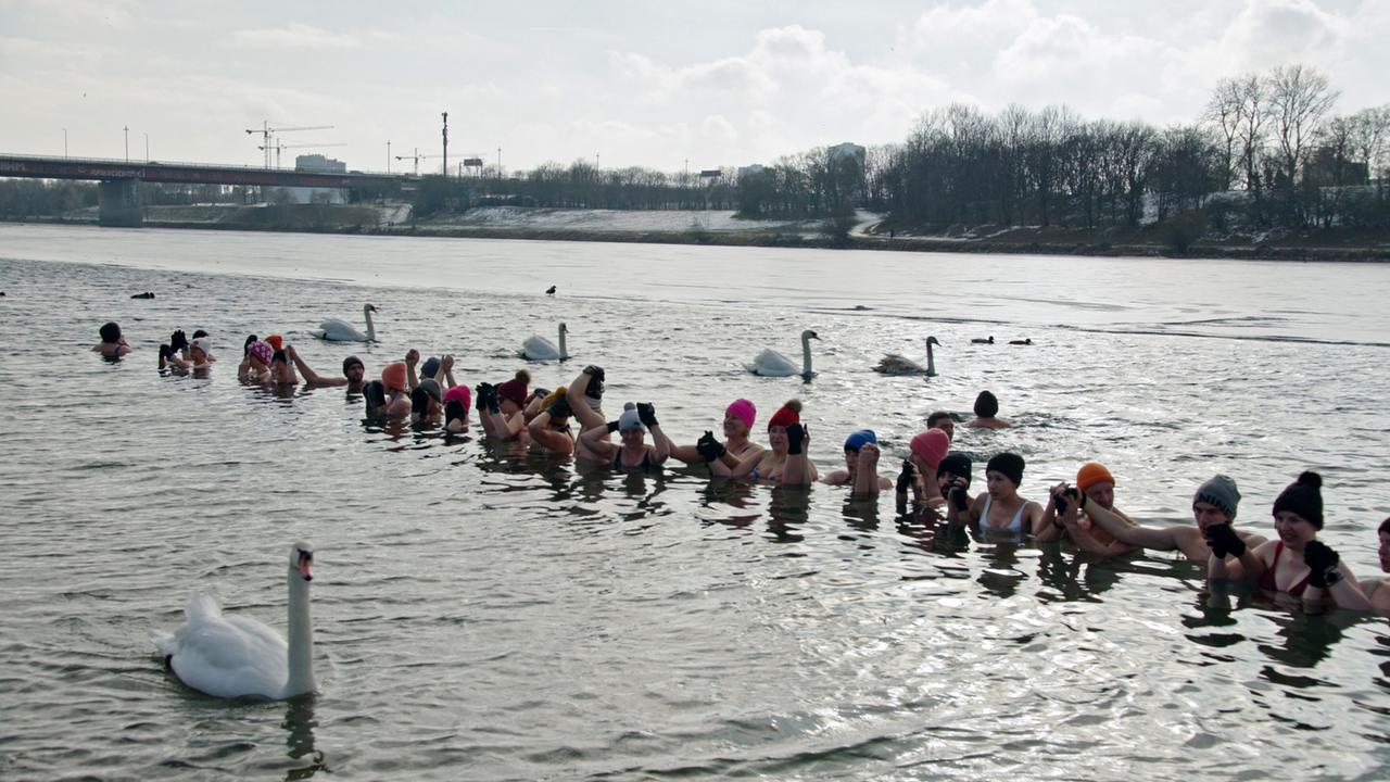 Eine Gruppe von Menschen schwimmt in der Alten Donau. Einige tragen Bademützen und Handschuhe. Im Wasser schwimmen Schwäne. Im Hintergrund sind Bäume und eine Brücke sichtbar.