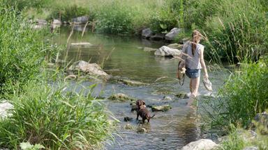 Eine Person mit langen Haaren trägt Shorts und T-Shirt, während sie einen Hund an einer Uferstelle führt. Grüne Pflanzen umgeben einen schmalen, klaren Wasserlauf mit Steinen.