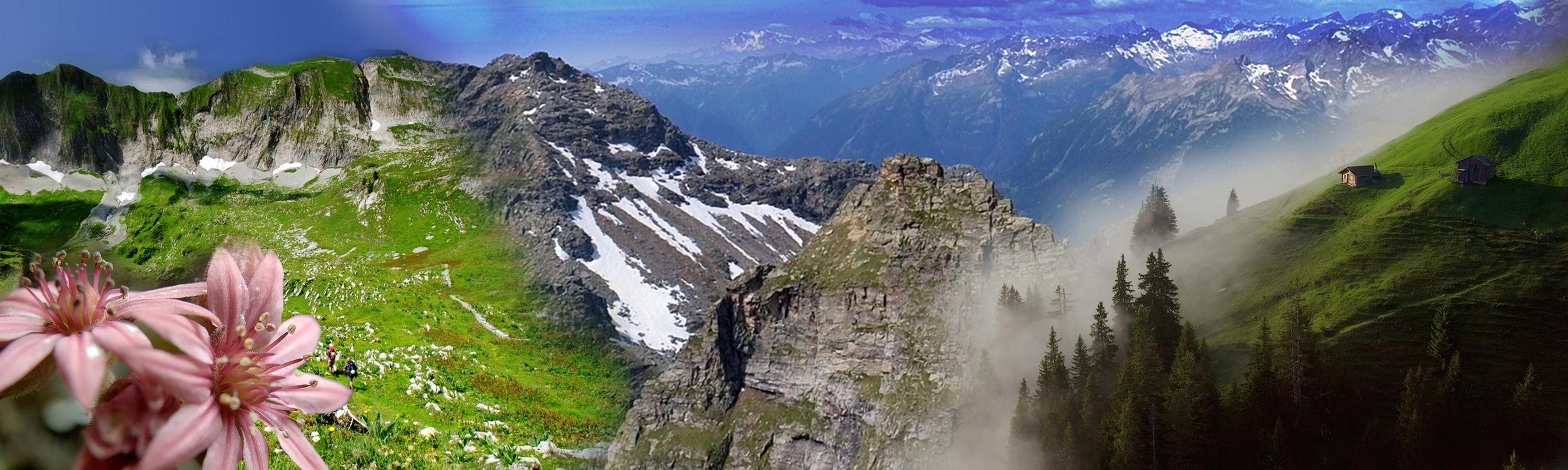 Wilde Schweiz higru Sendebereich