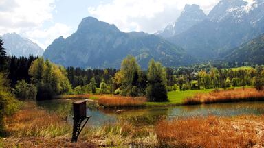 Moorlandschaft an der Enns