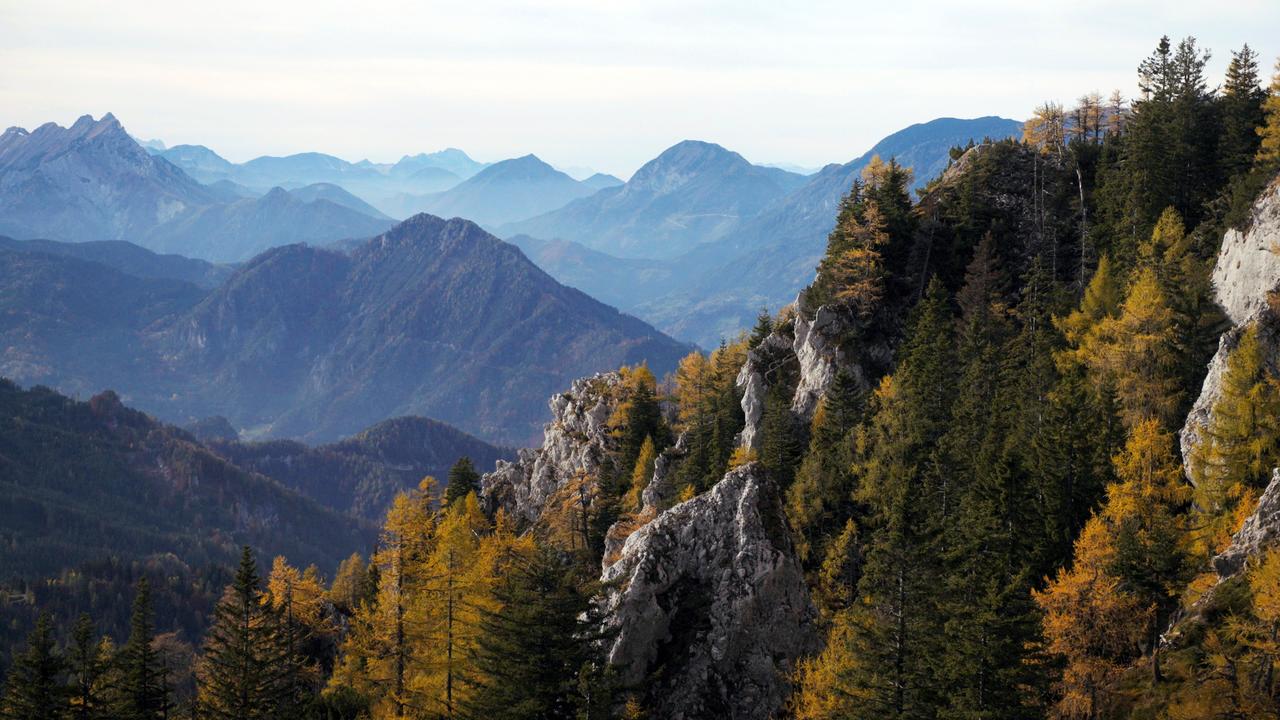 Das Bild zeigt eine herbstliche Landschaft in den Steiner Alpen, in der Vellacher Kotschna. Im Vordergrund sind schroffe, graue Felsen sichtbar, die mit dichten, grünen Nadelbäumen umgeben sind. Einige der Bäume haben herbstlich gefärbte, gelbe Blätter, die sich vom restlichen Grün abheben.   Im Hintergrund erstrecken sich mehrere Bergketten, die sowohl sanfte Hügel als auch steile Gipfel mit schneebedeckten Spitzen zeigen. Die Berge sind in verschiedenen Blautönen dargestellt, die durch eine leichte Nebel- oder Dunstschicht verstärkt werden, was der Szenerie eine weiche, verträumte Atmosphäre verleiht.   Der Himmel ist hell und zeigt sanfte, graue Wolken, die auf ein mildes, aber bewölktes Wetter hindeuten. Insgesamt vermittelt das Bild das Gefühl von Weite und unberührter Natur, typisch für diese alpine Region.