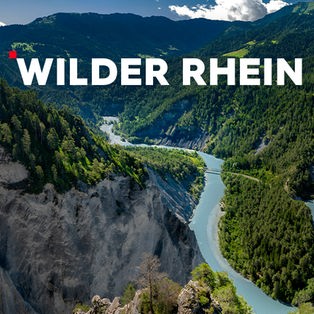 Wilder Rhein – Der berühmte Unbekannte – Sendetypical