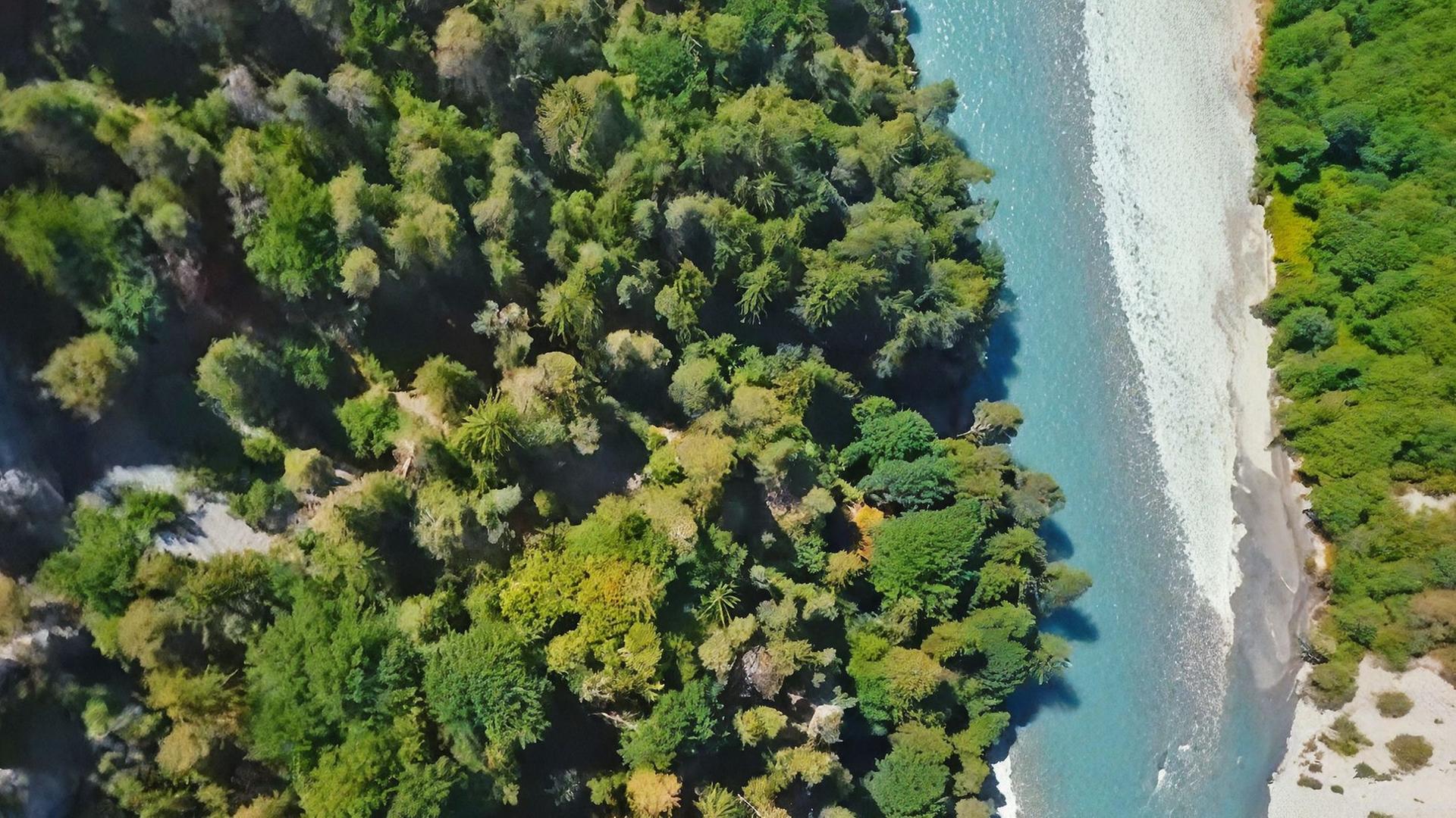 Der Rhein von oben