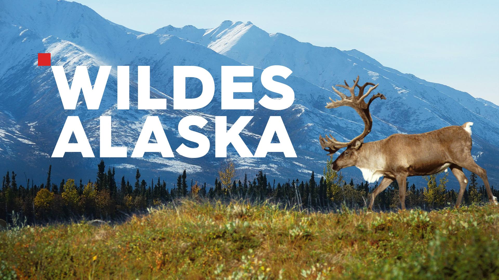 Wildes Alaska – Sendetypical