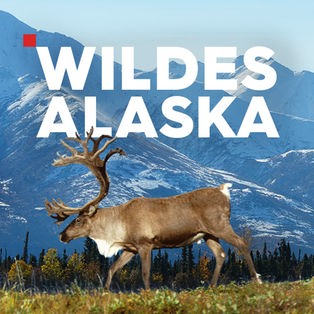 Wildes Alaska – Sendetypical