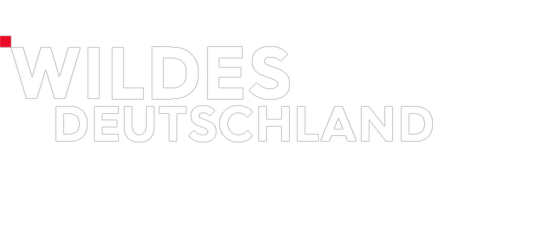 Logo Wildes Deutschland
