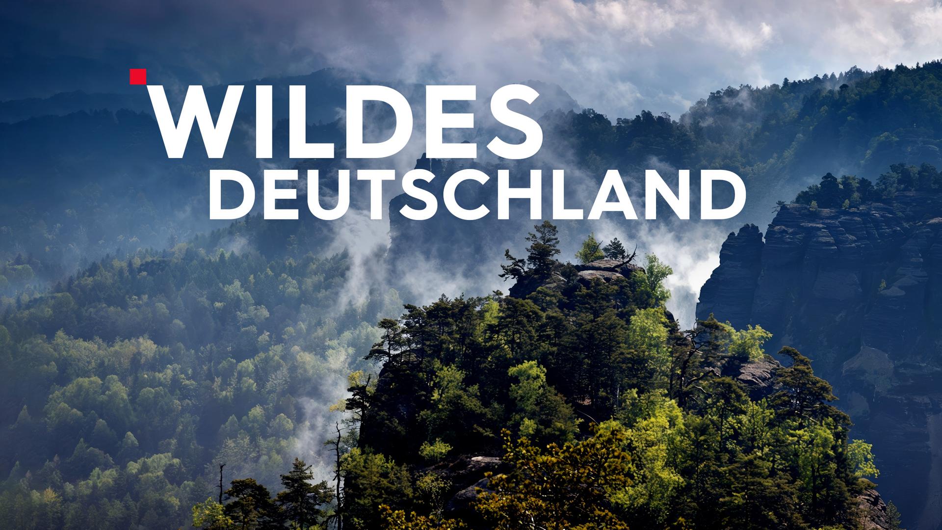 Teaser mit Typo Wildes Deutschland