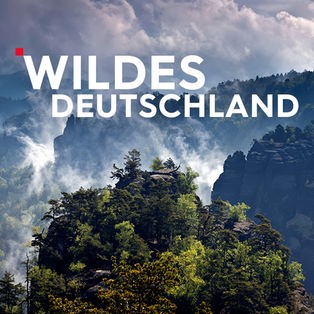 Teaser mit Typo Wildes Deutschland