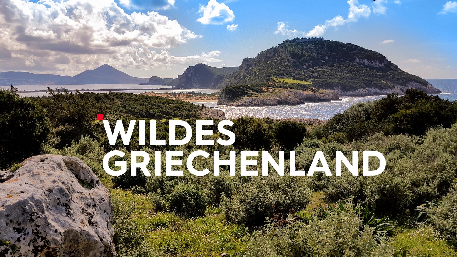 Teaser mit Typo Wildes Griechenland im Hintergrund Meer, Berge und eine Bucht