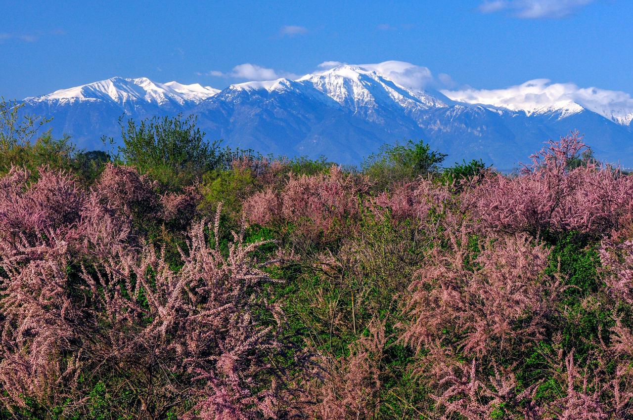 Der Götterberg Olymp wacht über sein wildes Reich.