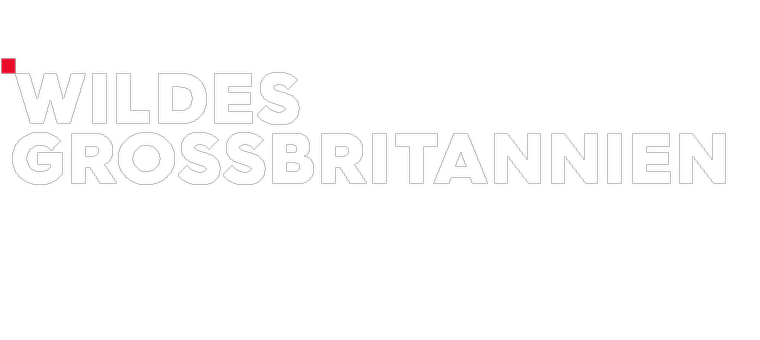 Logo Wildes Großbritannien