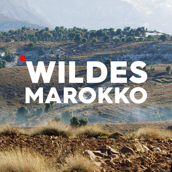 Wildes Marokko Sendetypical
