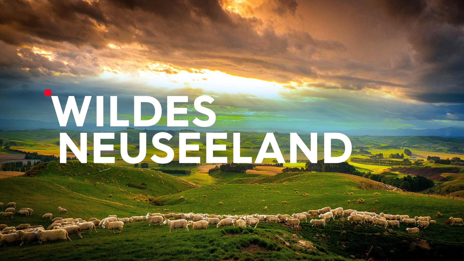 Wildes Neuseeland Sendetypical 2400x1350 16zu9