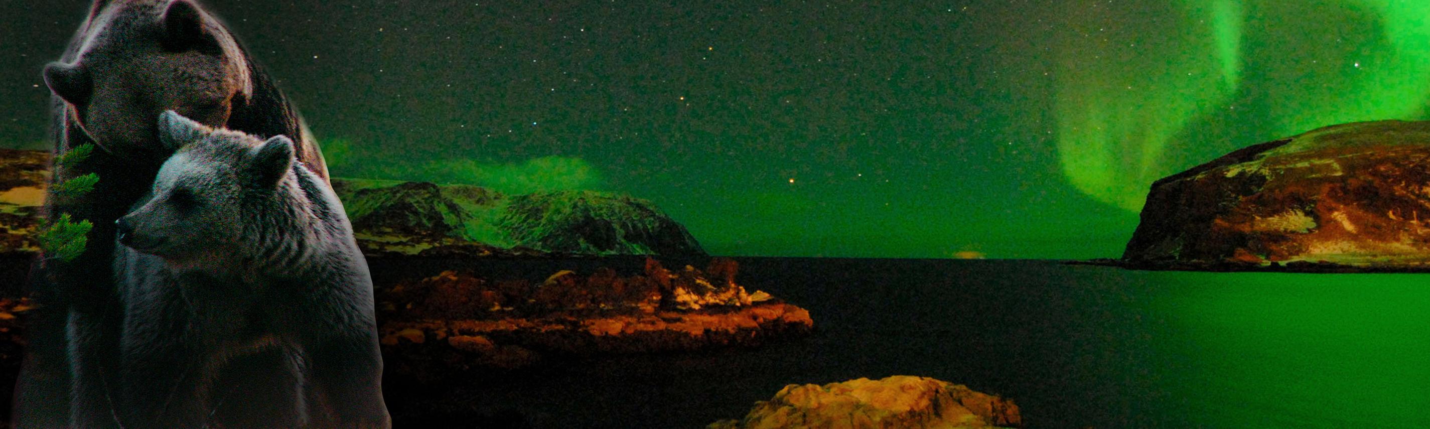 Wildes Skandinavien Sendebereich Hintergrund 2850x855