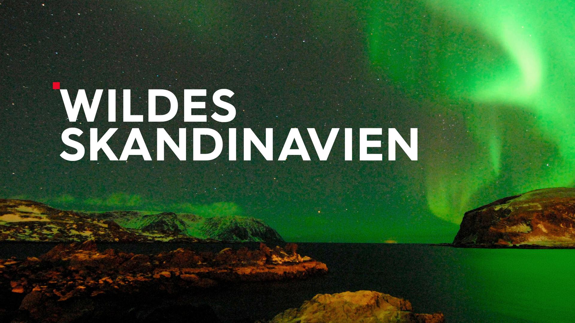 Wildes Skandinavien Sendetypical 2400x1350 16zu9