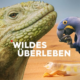 Wildes Überleben Sendetypical