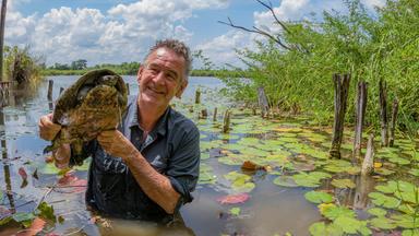 "Wildes Zentralamerika - Im Vulkanland Guatemalas": Nigel steht im Wasser und hält eine Schildkröte hoch.
