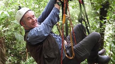 "Wildes Zentralamerika - In Panamas Wäldern": Nigel hängt in Kletterausrüstung am Baum.