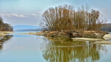Blick auf eine Insel in der Donau mit Spiegelung