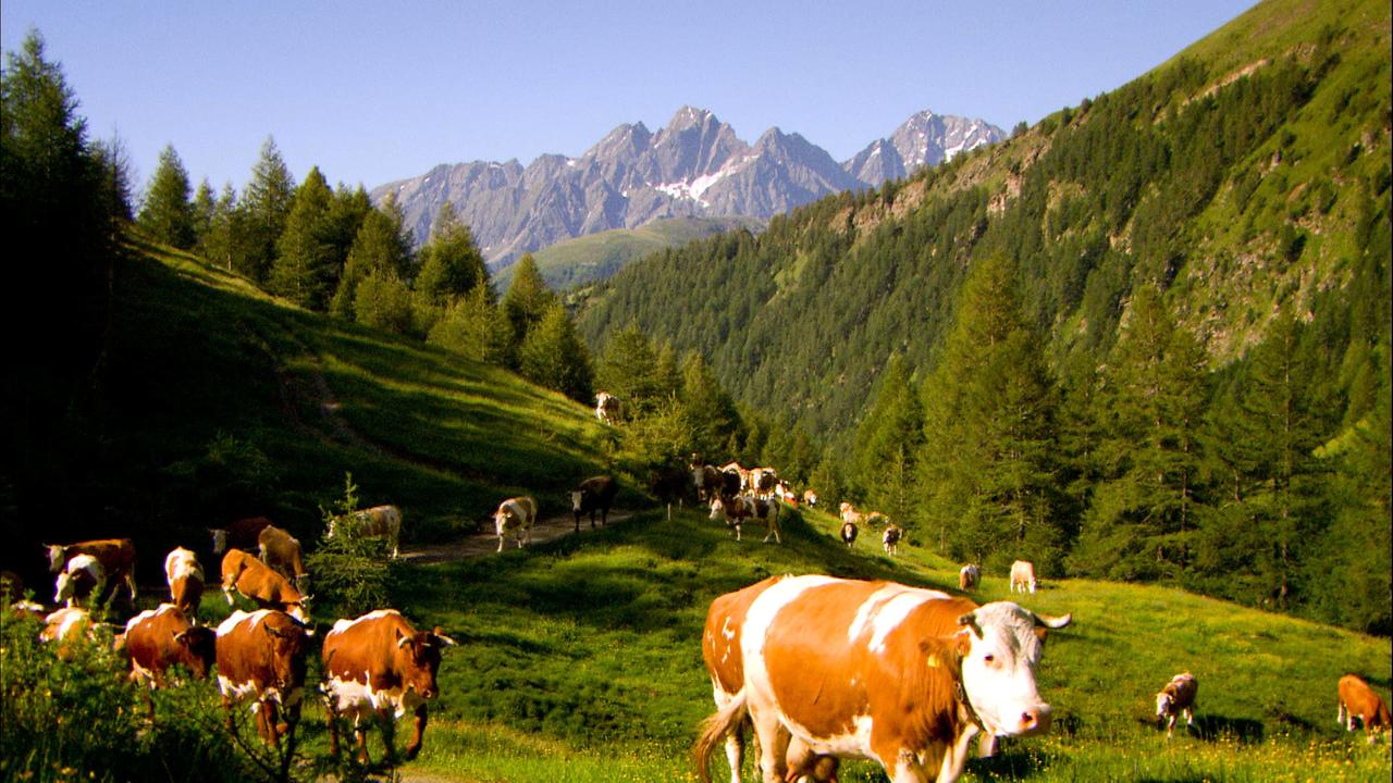 Nationalpark Hohen Tauern