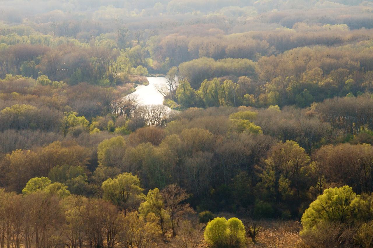 Nationalpark Donauauen