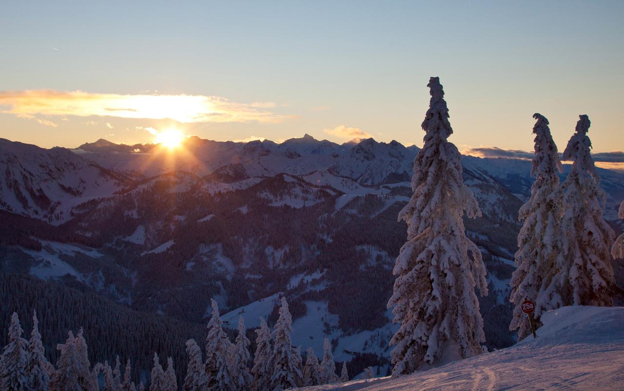 Dick verschneite Tannen und mit Schnee bedeckte Berge im letzten Sonnenlicht