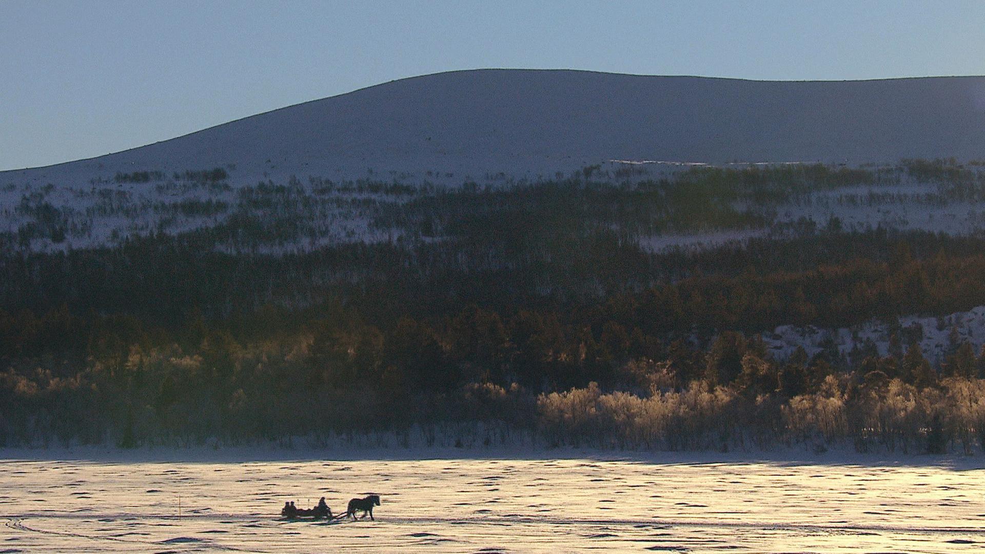 Ein Pferd zieht einen Schlitten durch den Schnee