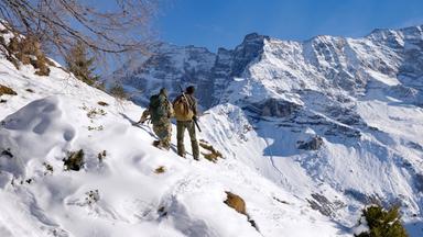 Das Bild zeigt zwei Personen, die sich in einer winterlichen Berglandschaft befinden, wahrscheinlich im Wipptal in Tirol. Die Szene ist von Schnee und steilen Berggipfeln geprägt, die im Hintergrund sichtbar sind.   Die erste Person trägt eine camouflagefarbene Jacke und hat einen großen Rucksack auf dem Rücken. Die zweite Person hat eine graue Jacke an und trägt in der Hand eine Waffe oder ein Jagdgerät. Beide stehen auf einem schneebedeckten Hang und scheinen die Landschaft zu erkunden. Der Himmel ist klar und blau, und die Sonne beleuchtet die Szenerie, wodurch Schatten auf dem Schnee entstehen.   Im Vordergrund sind einige schneebedeckte Hügel und vereinzelte grüne Pflanzen sichtbar, die aus dem Schnee ragen. Im Hintergrund befinden sich mächtige Felsen und Gipfel der Stubaier Alpen, die für diese Region charakteristisch sind.   Insgesamt vermittelt das Bild eine Atmosphäre von Abenteuer und Erkundung in der Natur.
