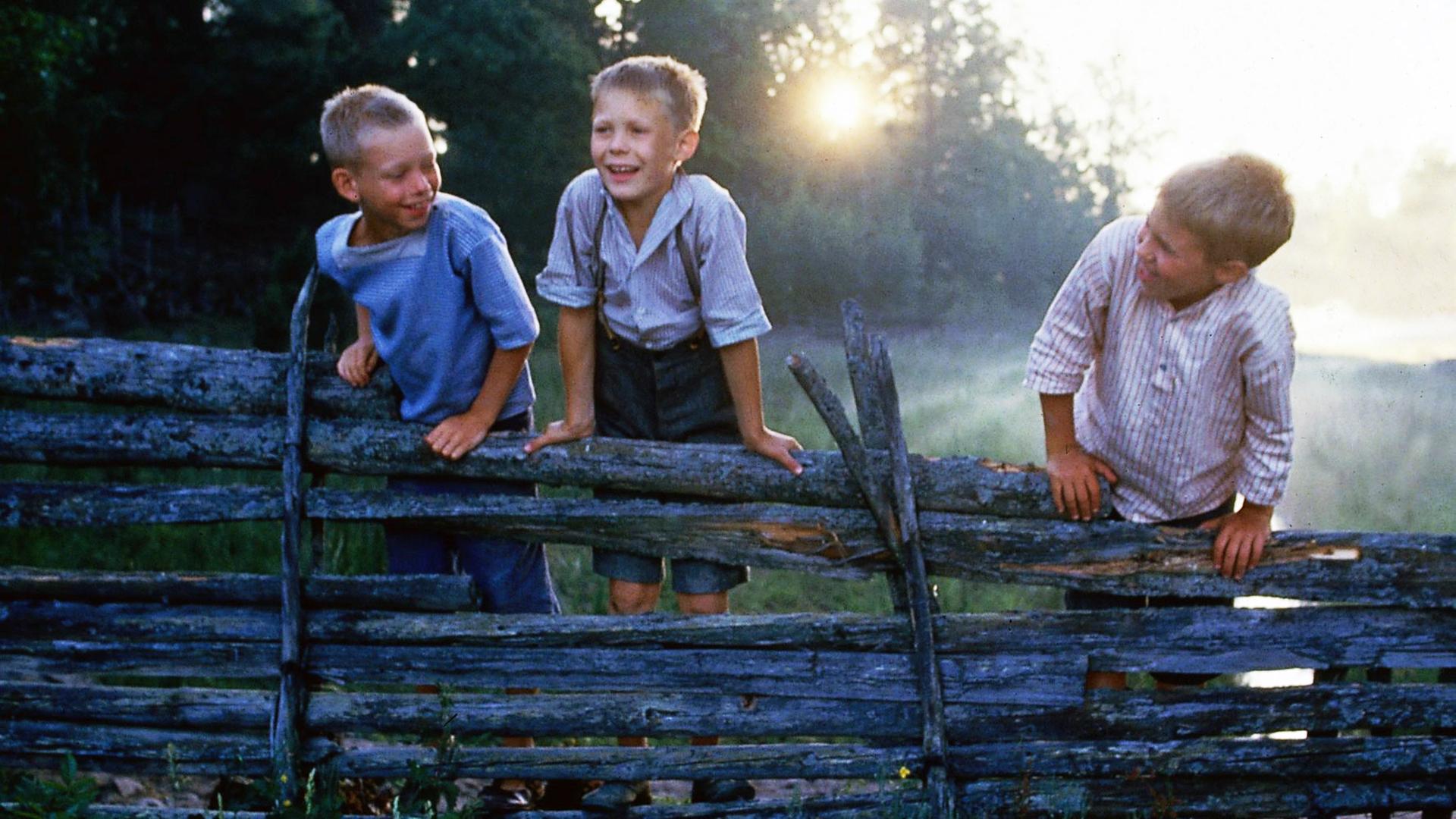 "Wir Kinder aus Bullerbü": Ole (Harald Lönnbro), Lasse (Crispin Dickson-Wendenius) und Bosse (Henrik Larsson) klettern auf einem Holzzaun herum und sehen fröhlich aus. Im Hintergrund ist die tief stehende Sonne, zwischen den Bäumen, zu sehen.