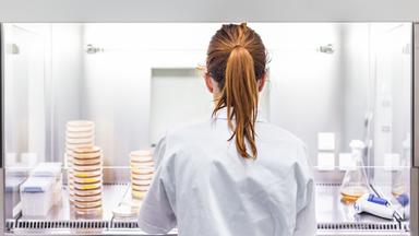 Wissenschaftlerin - von hinten zu sehen - bei Arbeiten im Labor.