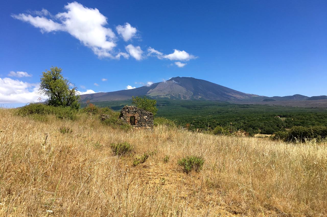 an seinen Hängen gedeihen auch Zitronen: der Ätna