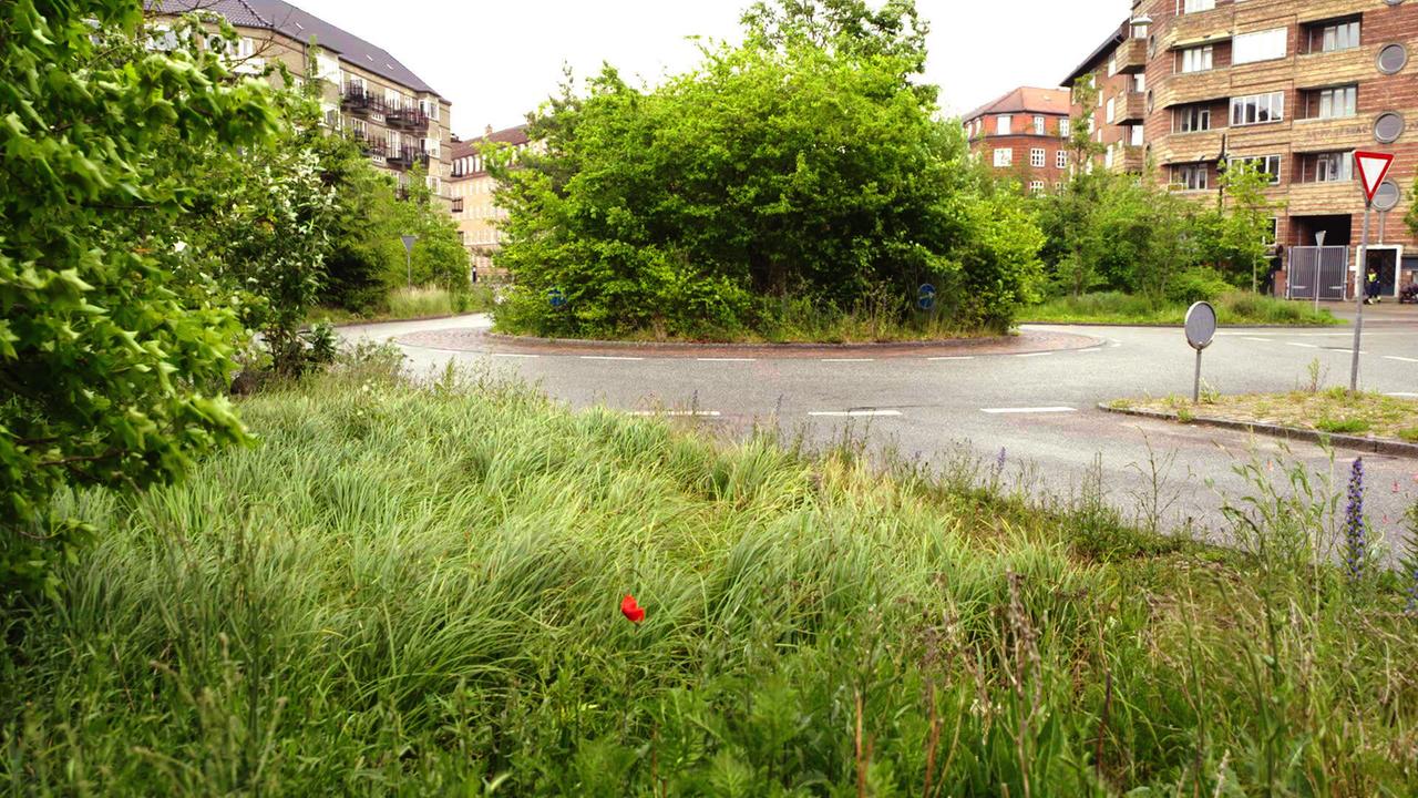 Ein begrünter PKW-Kreisel