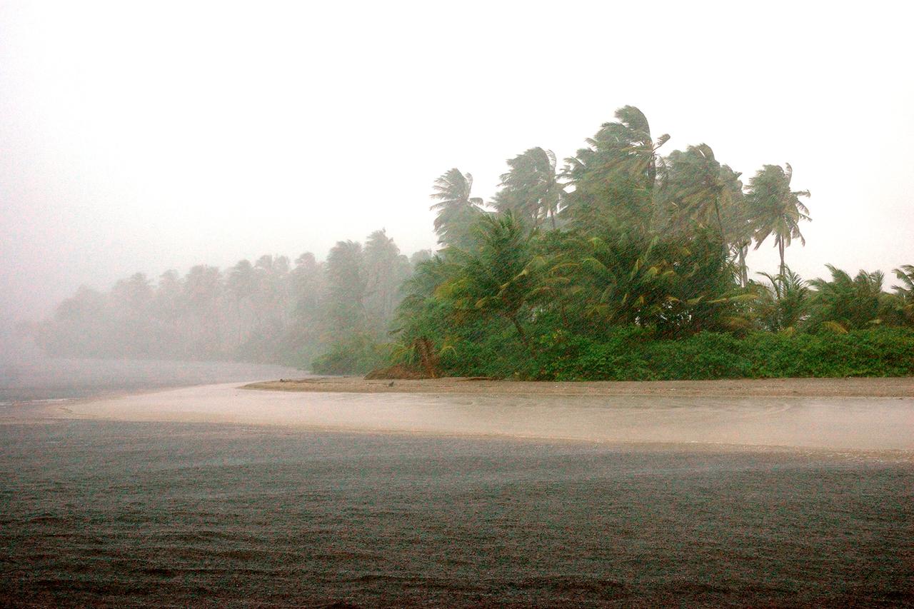 Aufgewirbelter Sand vor Bäumen