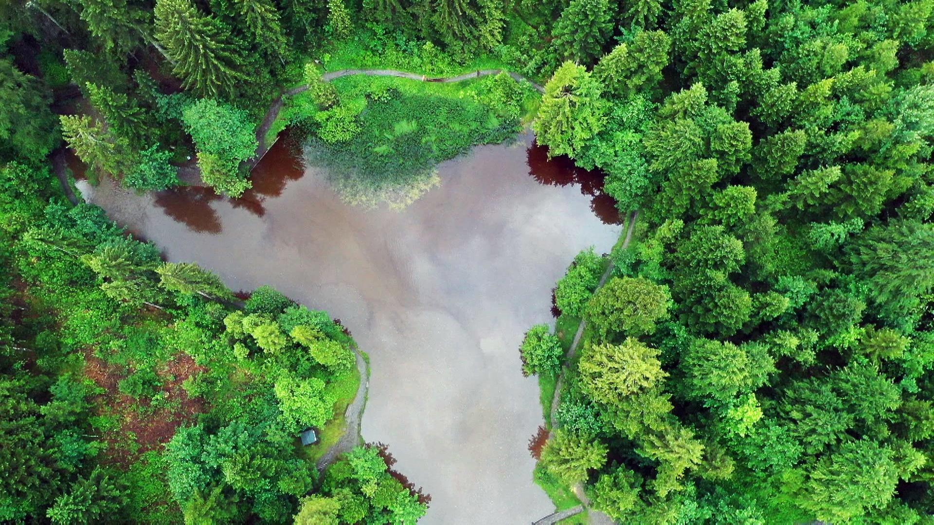 Der Wald als Wasserspeicher