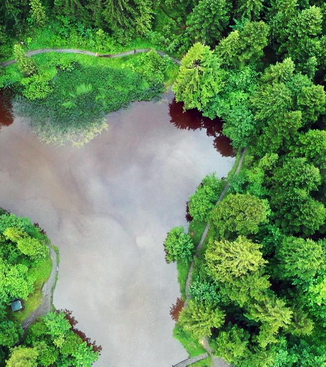 Der Wald als Wasserspeicher