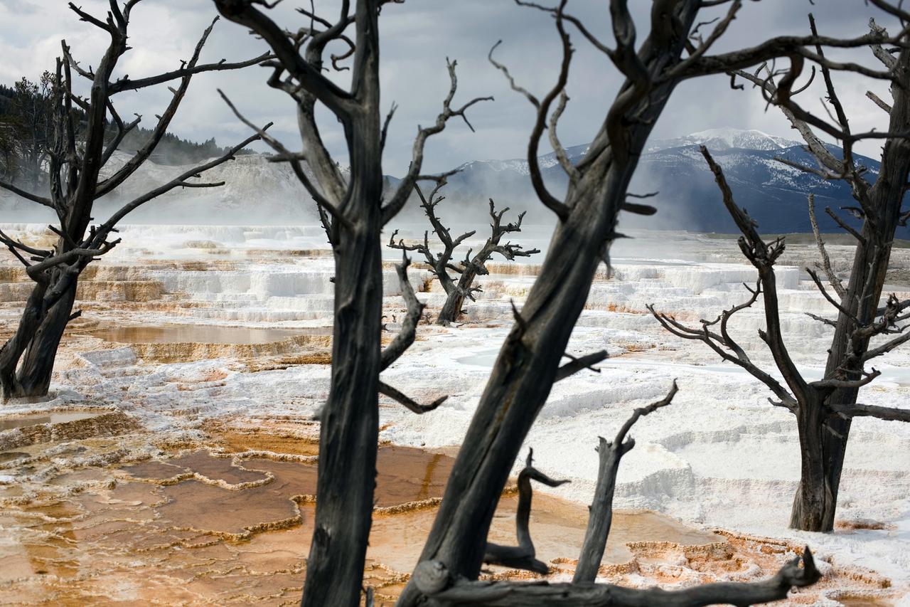 Yellowstone Nationalpark