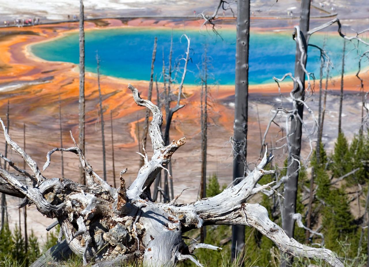 Yellowstone - Landschaft