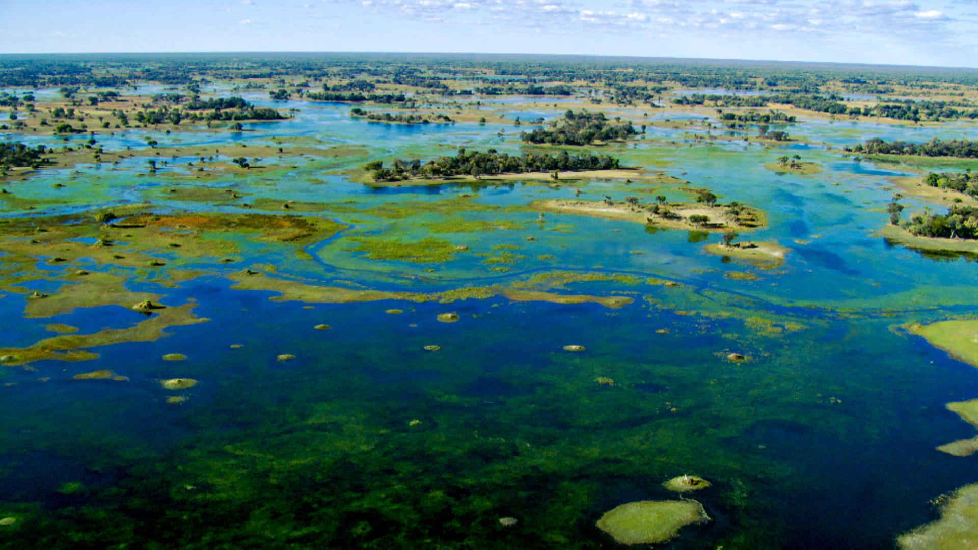 Der Okavango mit seiner wunderschönen Landschaft