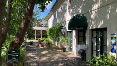 Ein begrünter Innenhof