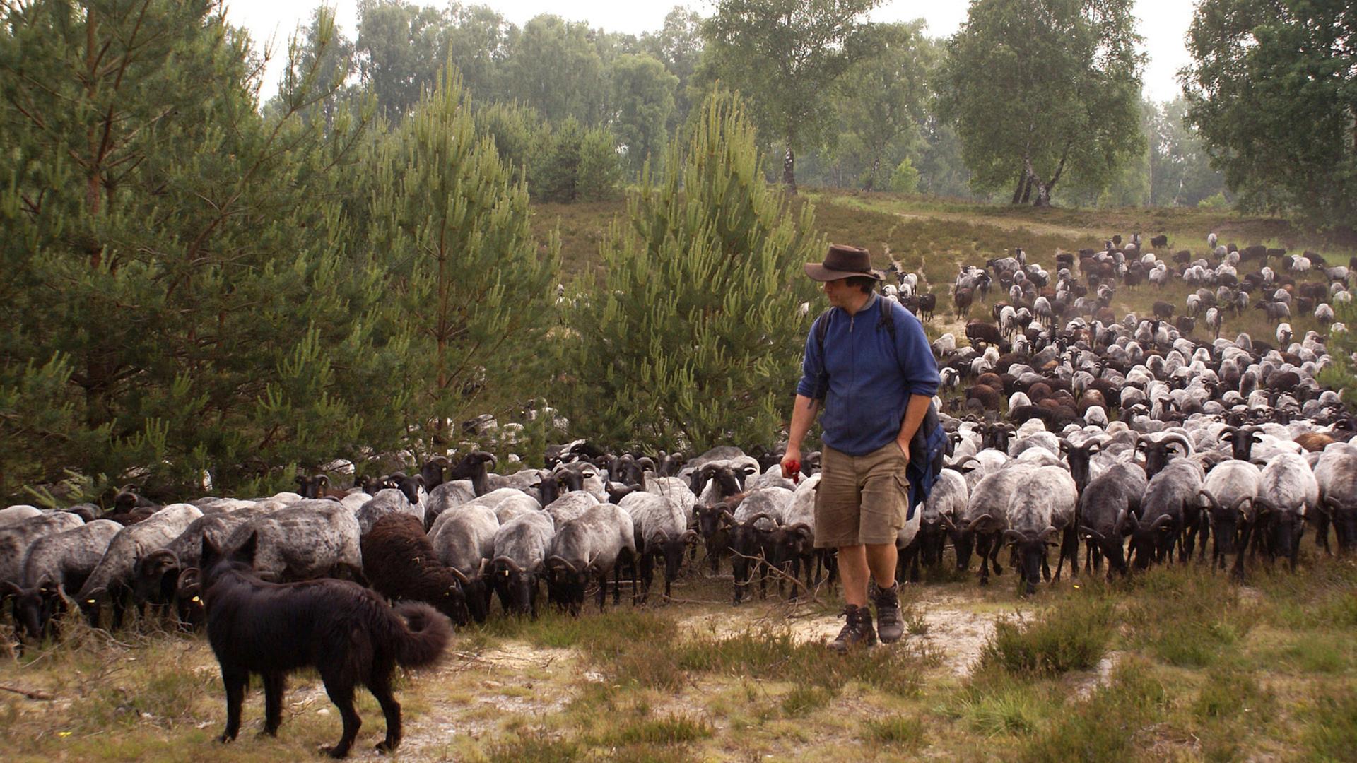 Zu Tisch In Der Luneburger Heide 3sat Mediathek