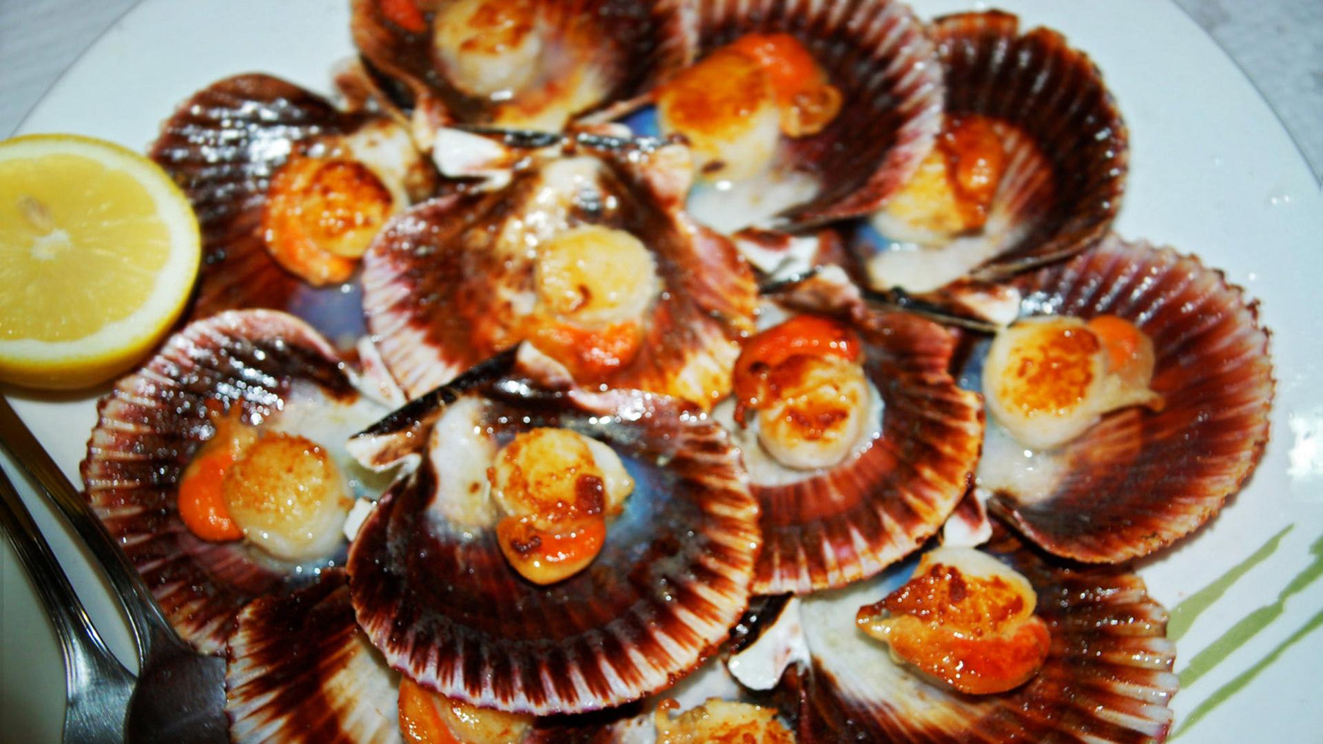 "Zu Tisch in Galicien": Jakobsmuscheln