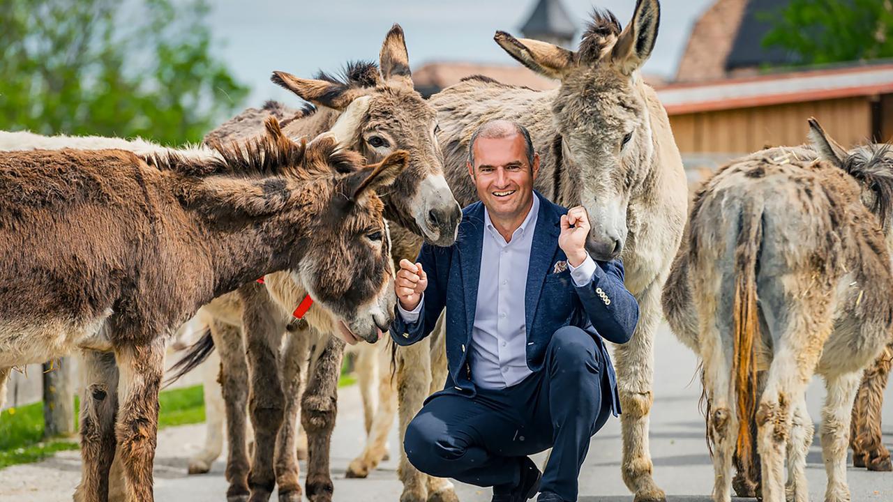 Geschäftsführer Dieter Ehrengruber mit geretteten Eseln auf Gut Aiderbichl in Henndorf.
