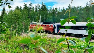 Die Nordlandsbahn durchstreift einsame Wälder in Norwegen.