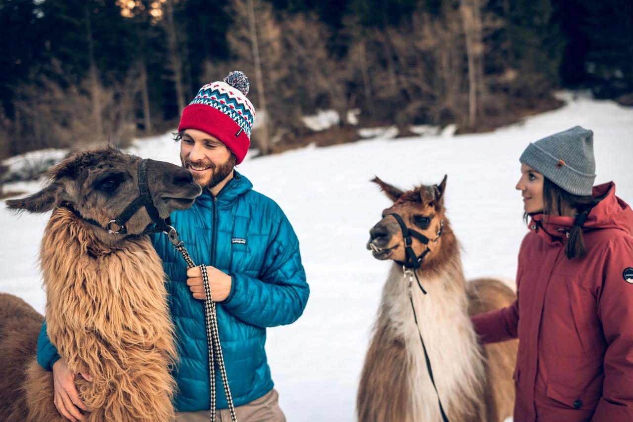 Das Bild zeigt eine winterliche Landschaft in der Tiroler Zugspitzregion. Der Boden ist mit Schnee bedeckt, und im Hintergrund sind Bäume sichtbar, die teilweise vom Schnee umgeben sind.   Im Vordergrund stehen zwei Personen, die mit Alpakas interagieren. Eine männliche Person trägt eine blaue Jacke und eine rote Mütze mit einem bunten Muster. Sie hält ein Alpaka, das ein volles, braunes Fell hat und an einer Leine geführt wird. Neben ihm steht eine weibliche Person in einer roten Jacke und einer grauen Mütze. Sie schaut das andere Alpaka an, das ebenfalls ein braunes Fell hat. Die Szenen vermitteln eine freundliche und entspannte Atmoshäre.